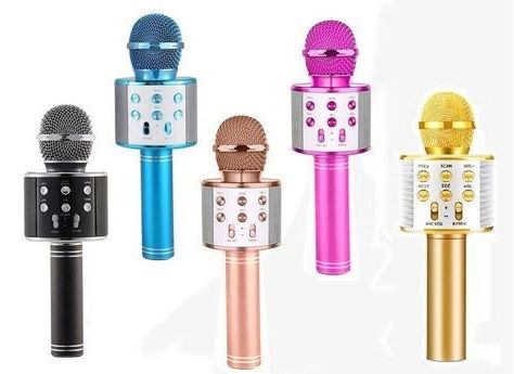 MICROFONO KARAOKE WS-858	