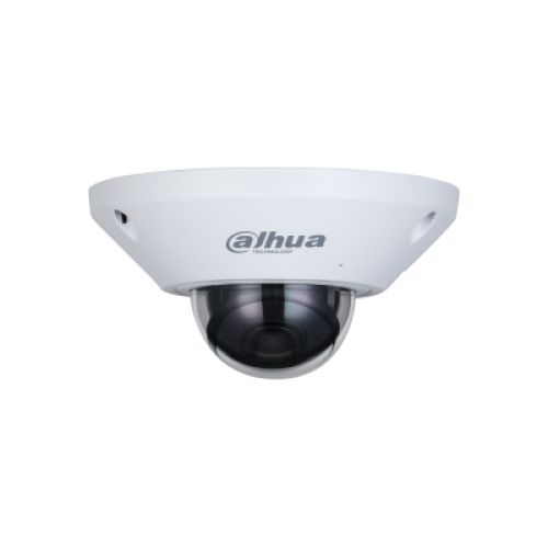 CAMARA DAHUA IP DH-IPC-EB5541P-AS OJO DE PEZ